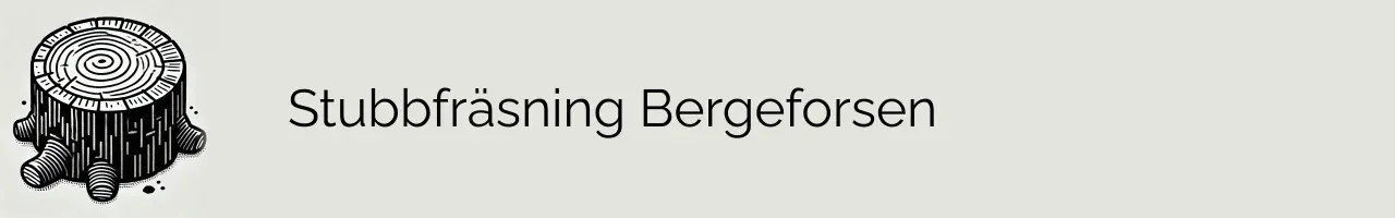 Stubbfräsning Bergeforsen